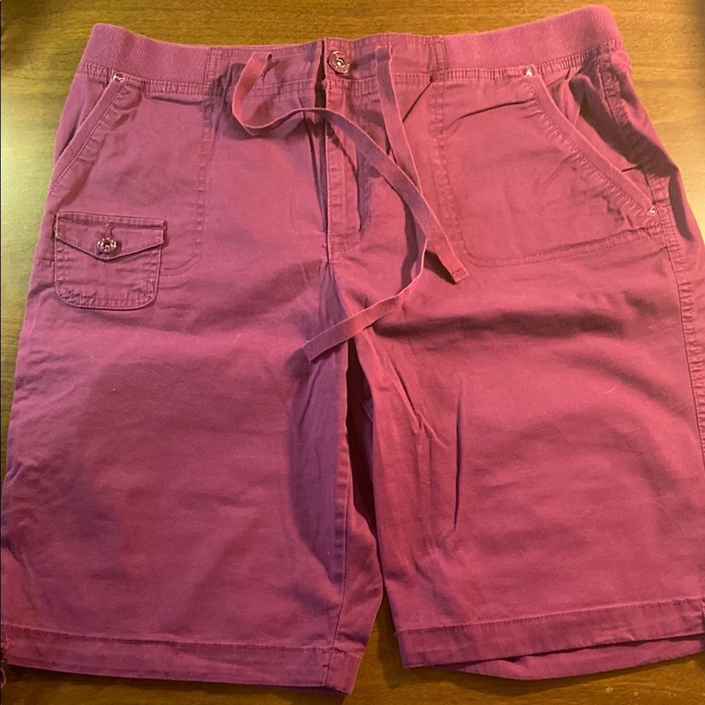 Gloria Vanderbilt Purple Women's Shorts